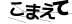 CAPTCHA